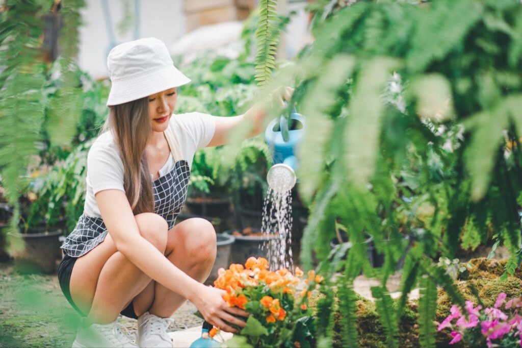 professional care for green lawns